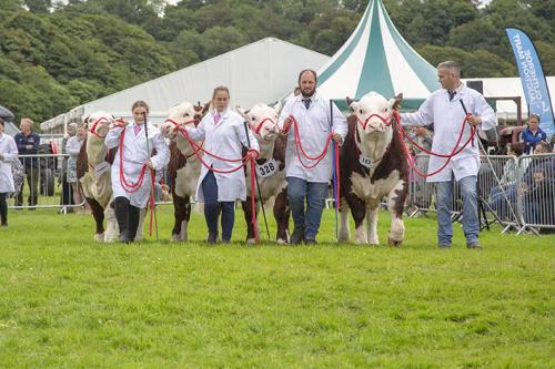 Royal Lancs Show 21072024 923