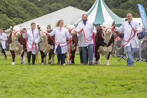 Royal Lancs Show 21072024 924