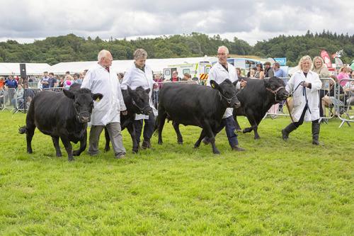 Royal Lancs Show 21072024 925