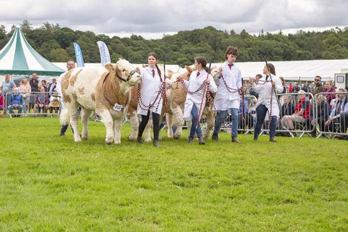 Royal Lancs Show 21072024 927