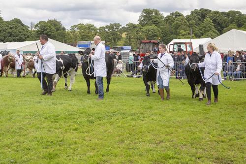 Royal Lancs Show 21072024 928