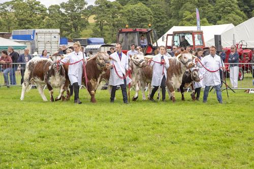 Royal Lancs Show 21072024 929