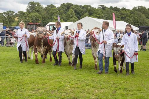 Royal Lancs Show 21072024 930