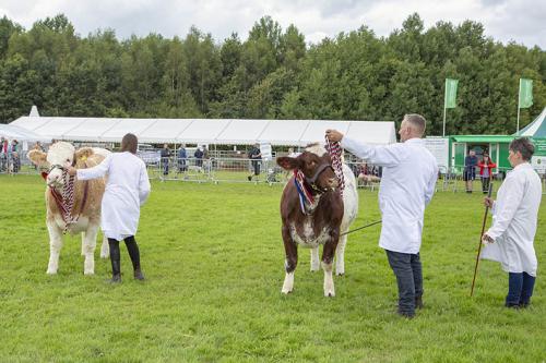 Royal Lancs Show 21072024 941