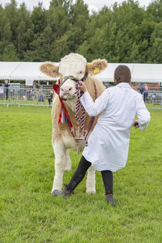 Royal Lancs Show 21072024 942
