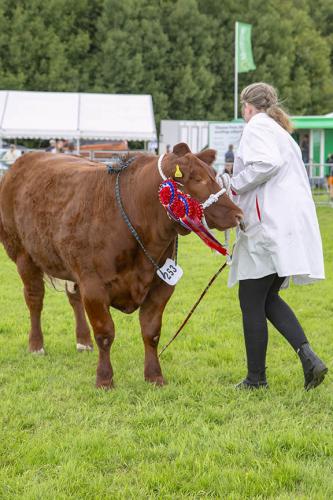 Royal Lancs Show 21072024 943