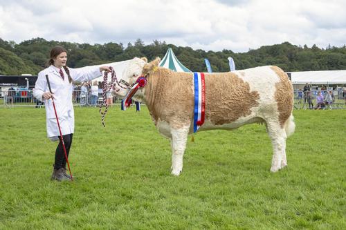 Royal Lancs Show 21072024 951