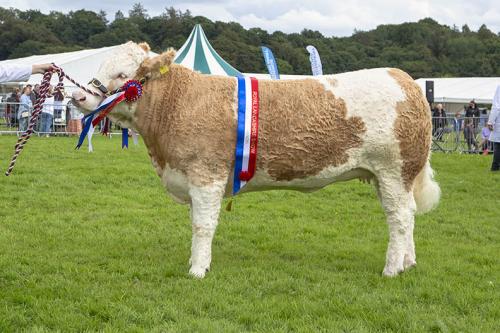 Royal Lancs Show 21072024 952