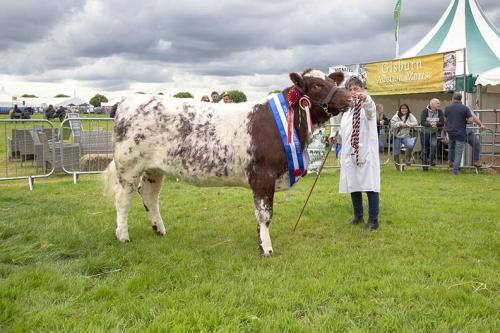 Royal Lancs Show 21072024 957