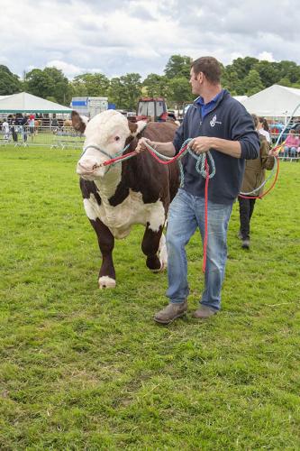 Royal Lancs Show 21072024 977