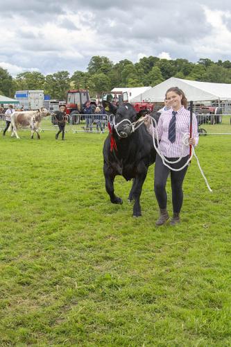 Royal Lancs Show 21072024 978