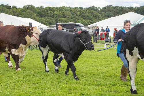 Royal Lancs Show 21072024 985
