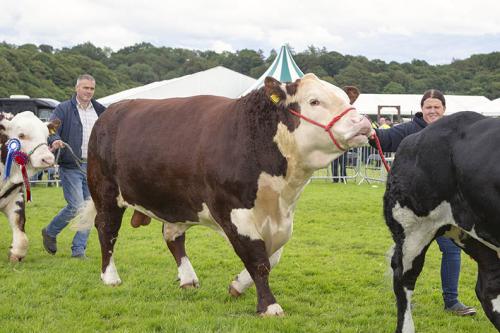 Royal Lancs Show 21072024 986