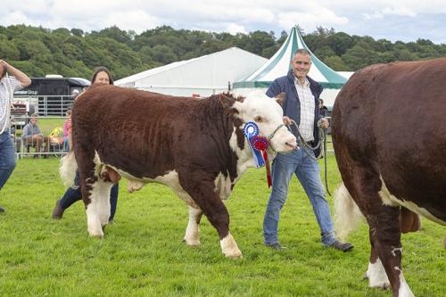 Royal Lancs Show 21072024 987