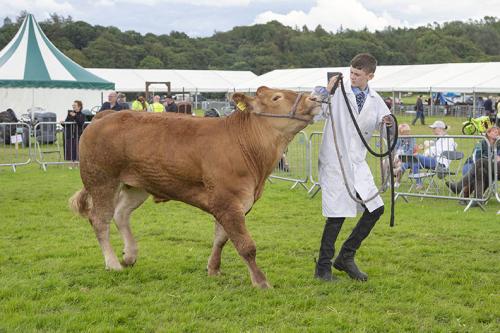 Royal Lancs Show 21072024 991