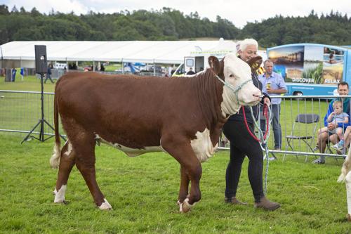 Royal Lancs Show 21072024 992