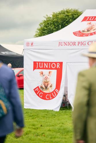 Family Fun Day 2025 1621 Lo