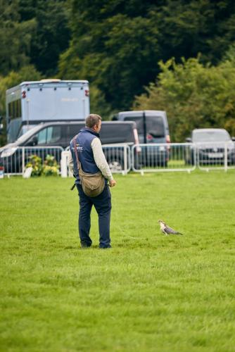 Royal Lancs Show 2025 1710 Lo