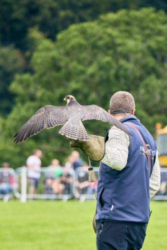 Royal Lancs Show 2025 1768 Lo