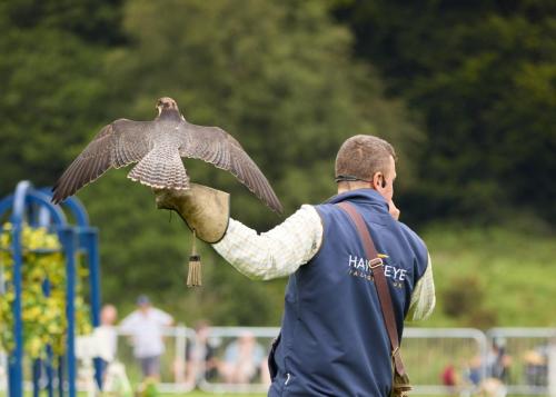 Royal Lancs Show 2025 1786 Lo