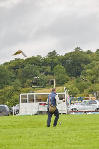 Family Fun Day 2025 1799 Lo