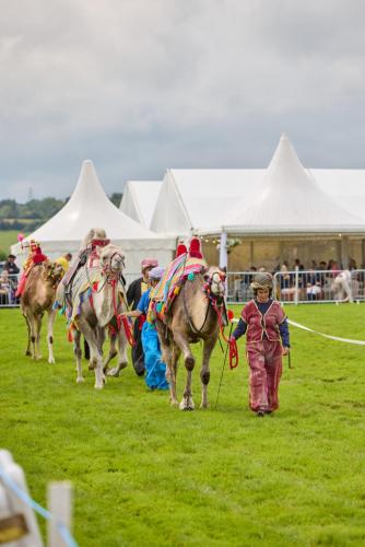 Royal Lancs Show 2025 1845 Lo