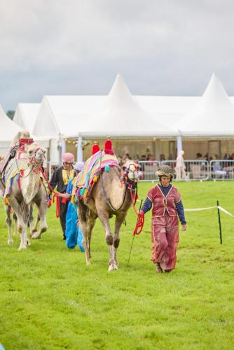 Family Fun Day 2025 1846 Lo