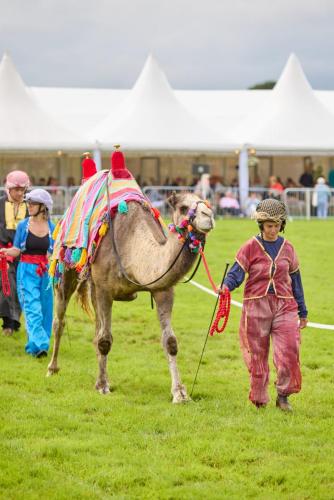Family Fun Day 2025 1847 Lo