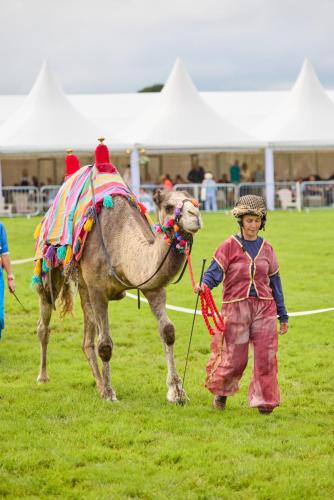 Royal Lancs Show 2025 1848 Lo