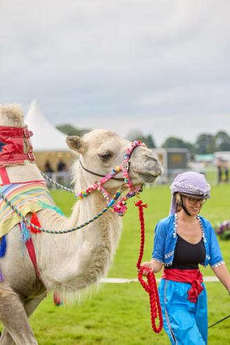 Royal Lancs Show 2025 1850 Lo