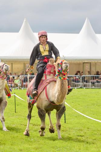 Royal Lancs Show 2025 1859 Lo