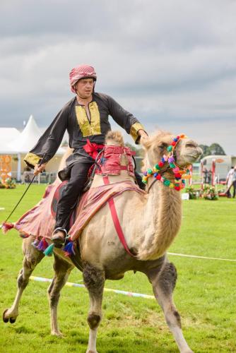 Family Fun Day 2025 1861 Lo