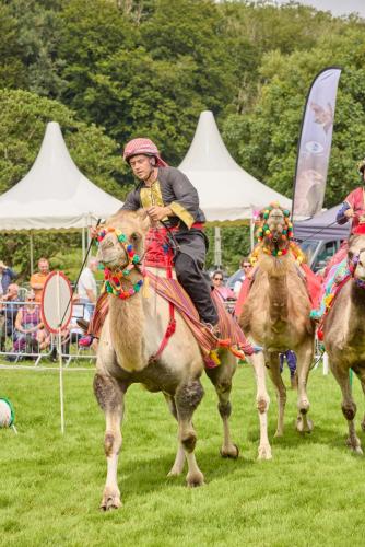Family Fun Day 2025 1865 Lo