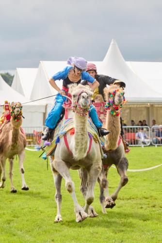 Family Fun Day 2025 1866 Lo