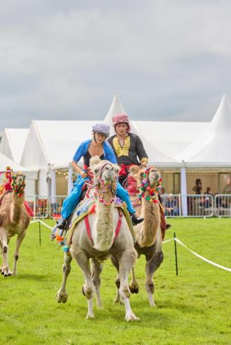 Royal Lancs Show 2025 1867 Lo