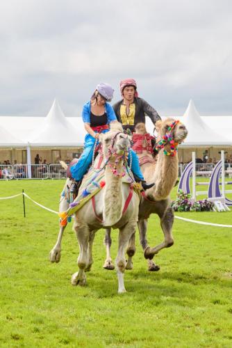 Royal Lancs Show 2025 1868 Lo